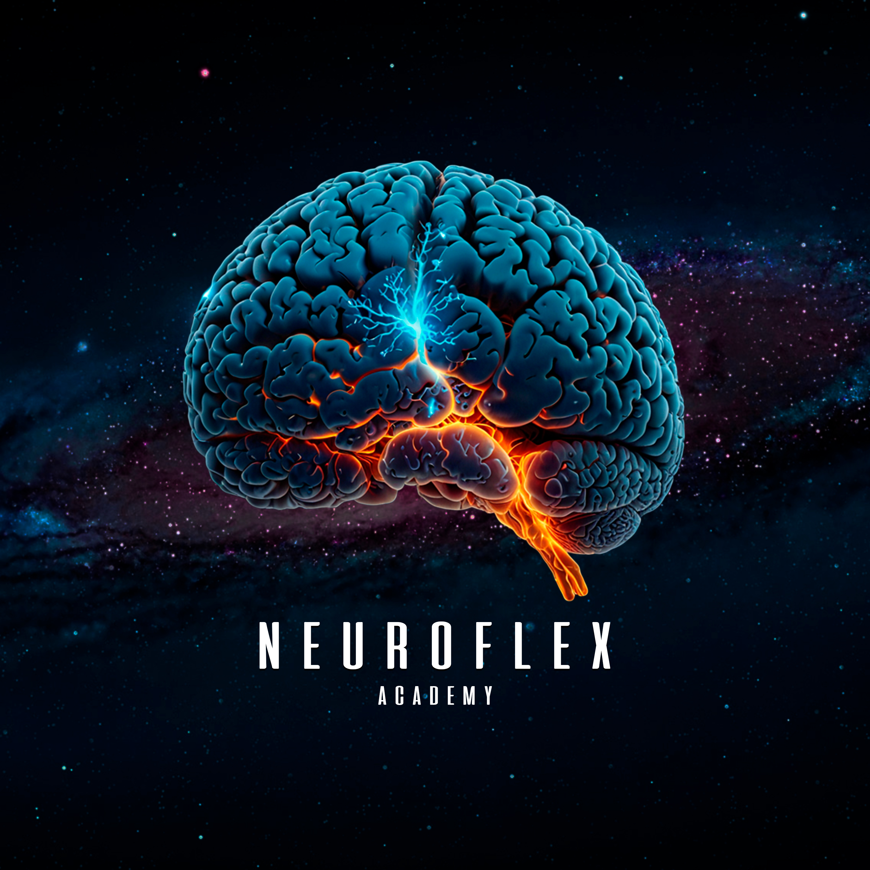 NeuroFlex Training Session